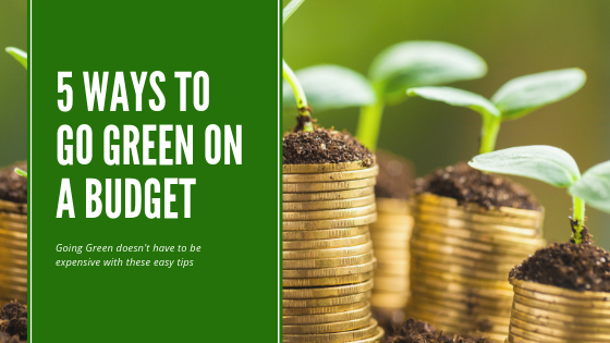 Go Green on a budget