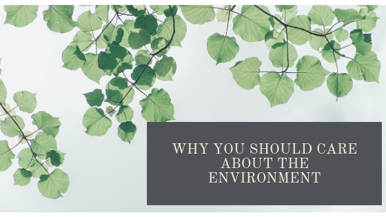 Why YOU Should Care about the Environment